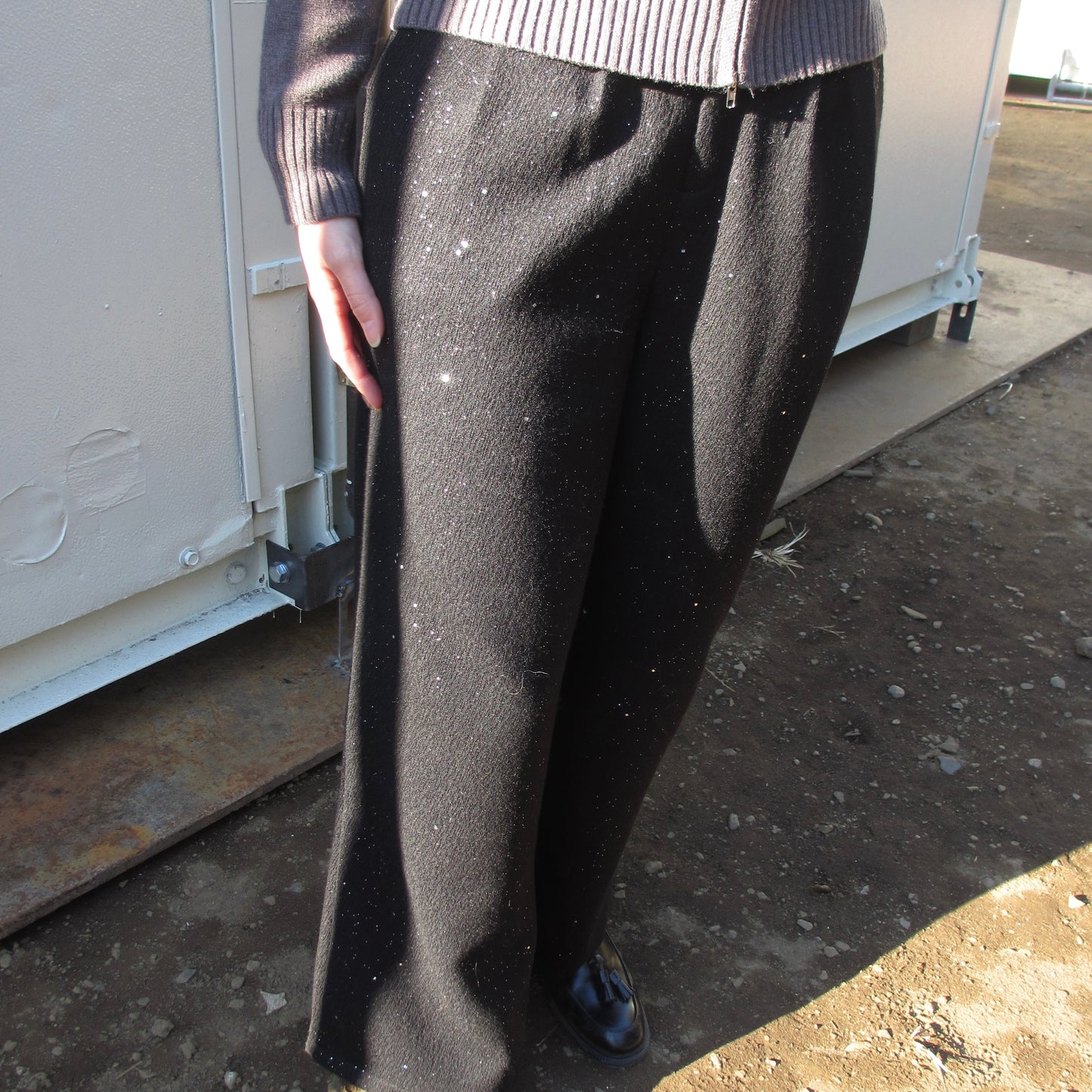 sparkle wide slacks